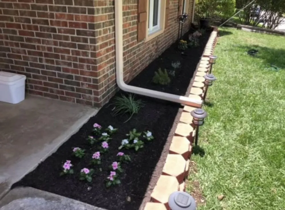 Local yard cleanup service in Dallas, TX by Rios Landscaping