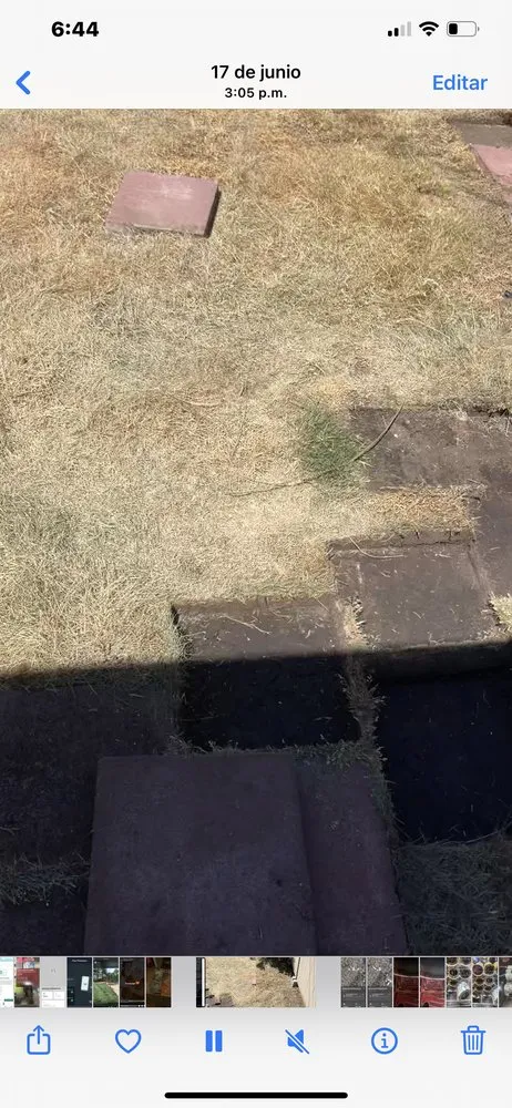 Expert yard cleanup service experts serving Newark, CA - Rios Landscaping Gardening Service