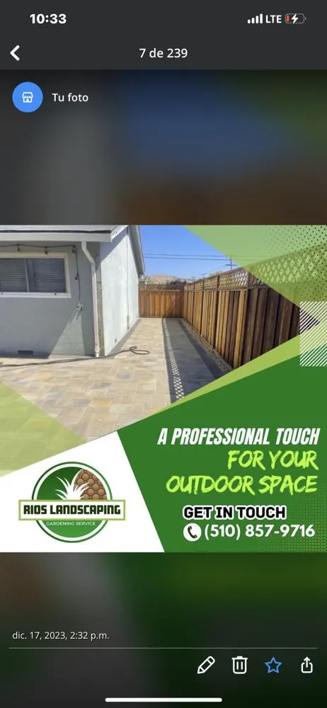 Trusted landscape design in Newark, CA - Rios Landscaping Gardening Service