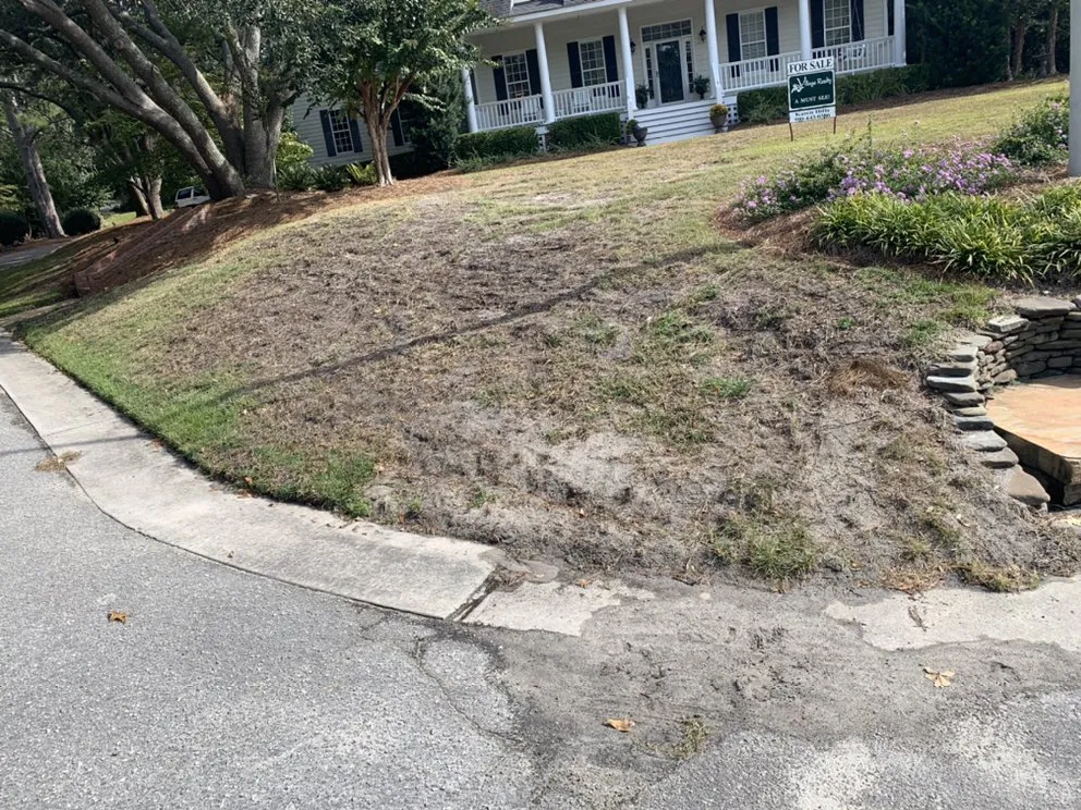 Professional landscaping services for year-round maintenance across Hampstead, NC - Rios Landscaping