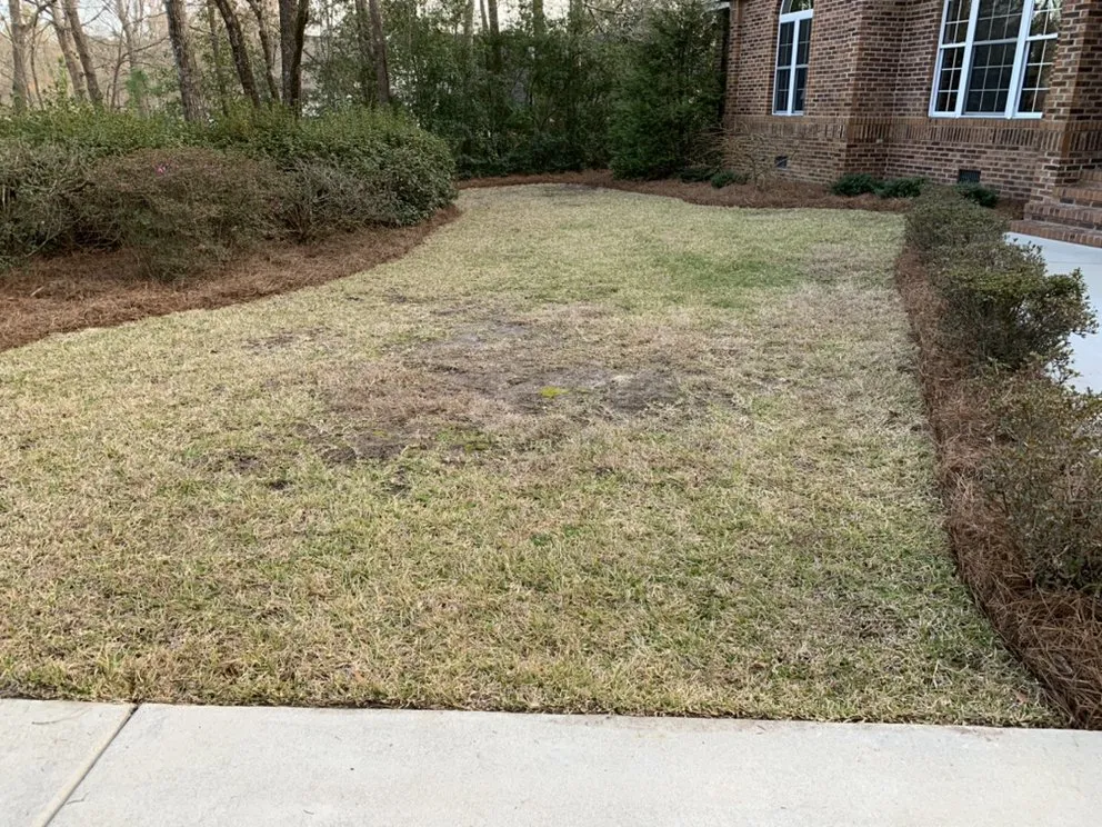 Local yard cleanup service experts serving Hampstead, NC - Rios Landscaping