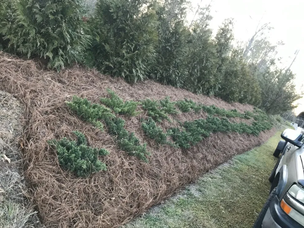 Top-rated landscaping services in Hampstead, NC by Rios Landscaping