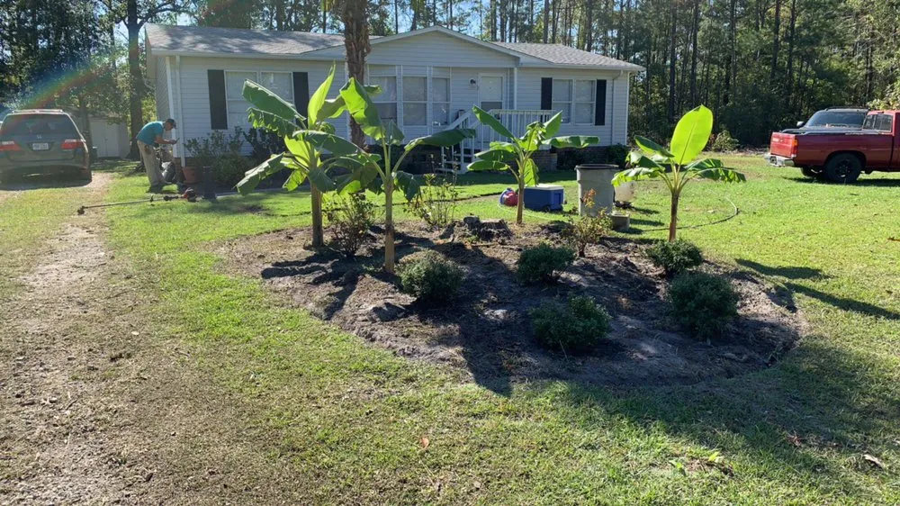 Expert yard cleanup service for residential properties across Hampstead, NC - Rios Landscaping