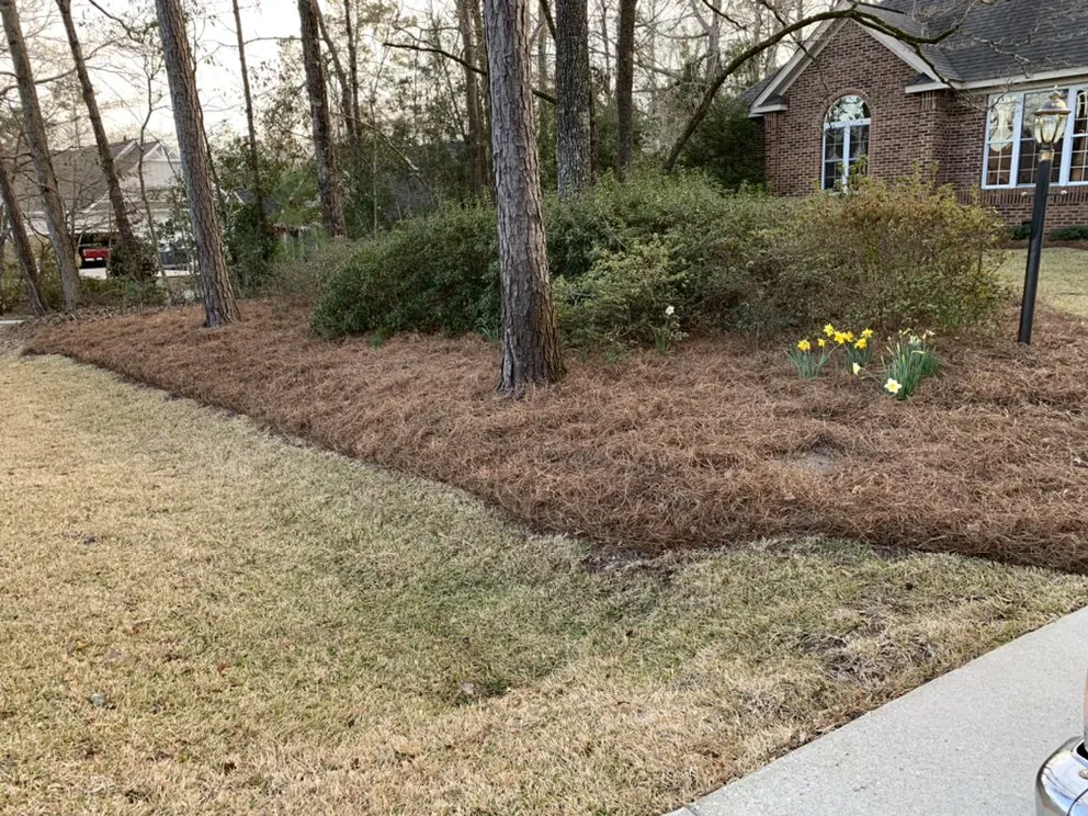 Expert residential landscaping for homes across Hampstead, NC - Rios Landscaping
