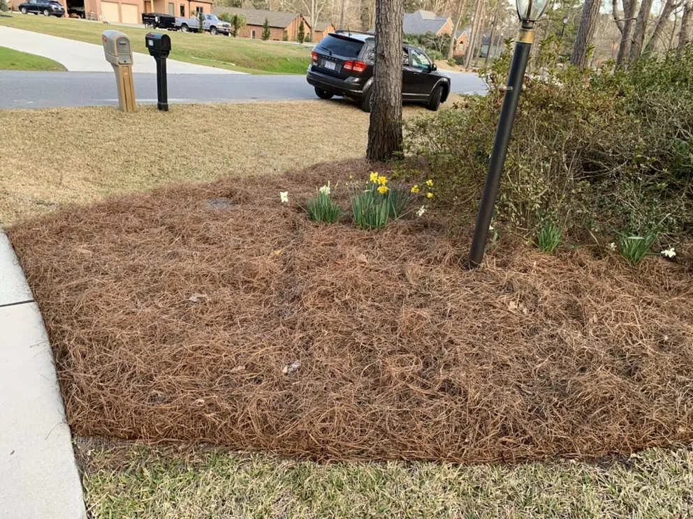 Custom yard cleanup service experts serving Hampstead, NC - Rios Landscaping
