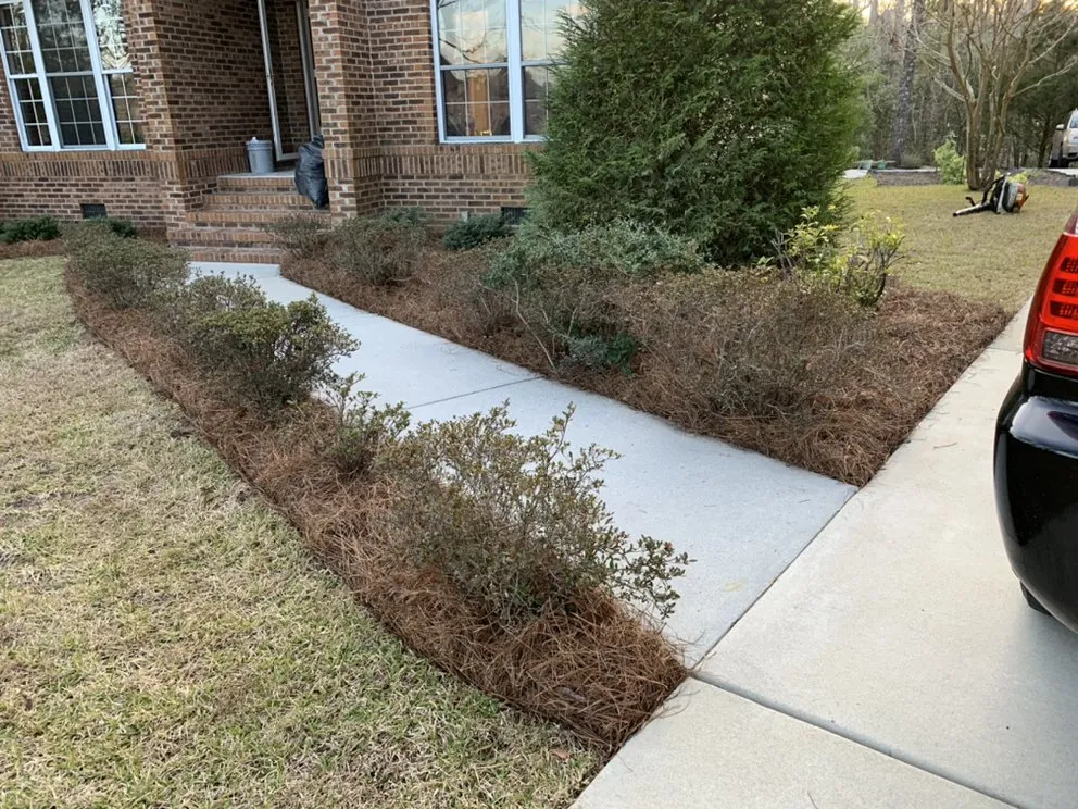 Custom lawn care service near you in Hampstead, NC by Rios Landscaping