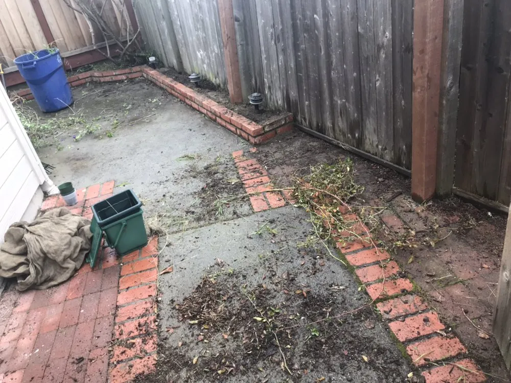 Top-rated landscaping services experts serving Oakland, CA - Rios Landscaping Services