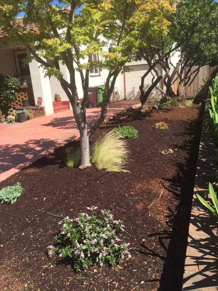 Local yard cleanup service in Oakland, CA - Rios Landscaping Services