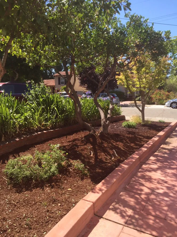 Top-rated lawn mowing service for outdoor upgrades in Oakland, CA by Rios Landscaping Services