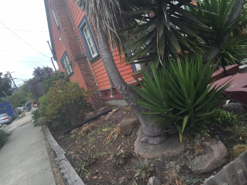 Top-rated lawn mowing service experts serving Oakland, CA - Rios Landscaping Services