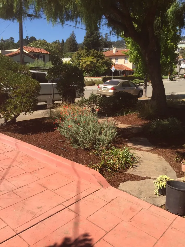Top-rated yard cleanup service experts serving Oakland, CA - Rios Landscaping Services