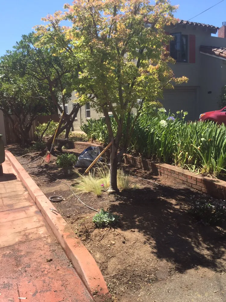 Custom outdoor landscaping in Oakland, CA by Rios Landscaping Services