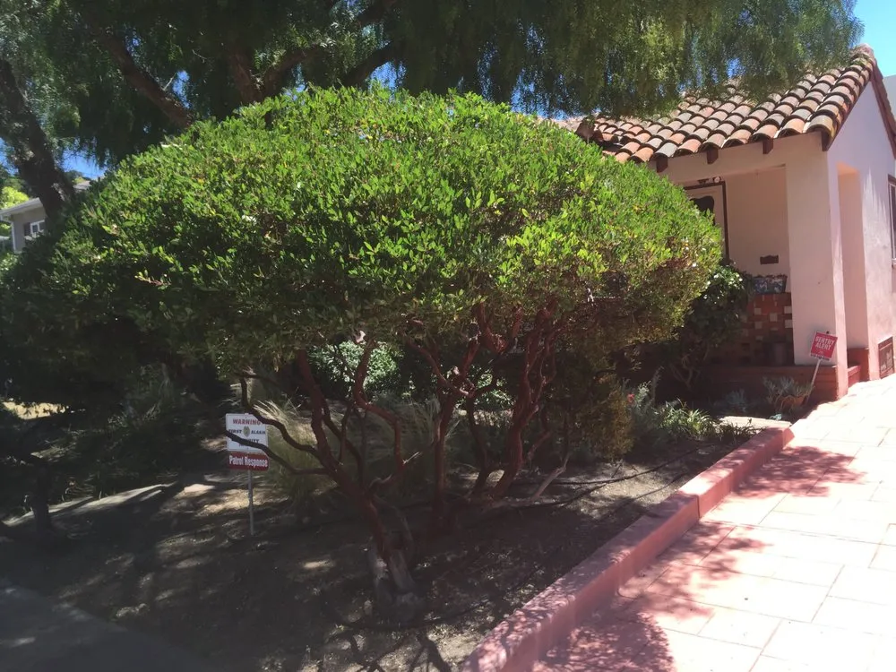 Trusted garden landscaping near you across Oakland, CA - Rios Landscaping Services