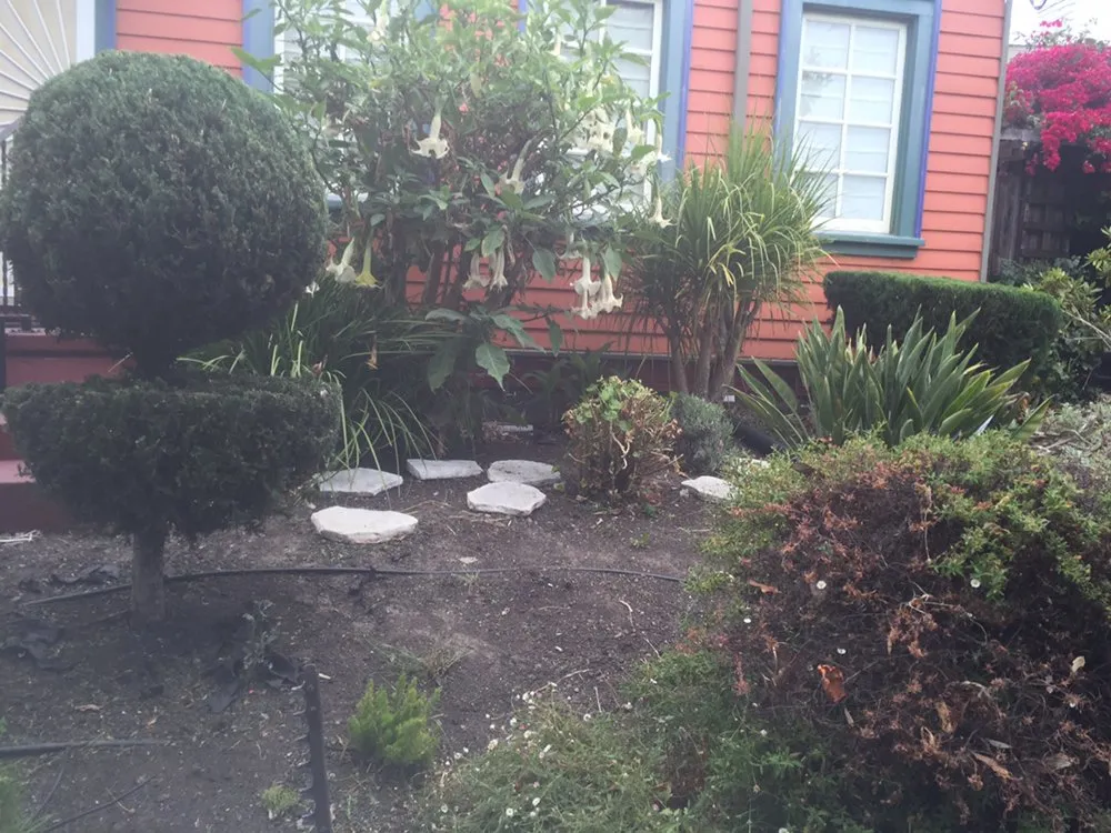 Custom outdoor landscaping experts serving Oakland, CA - Rios Landscaping Services