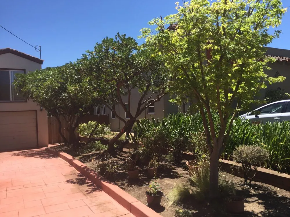 Expert yard cleanup service for year-round maintenance across Oakland, CA - Rios Landscaping Services