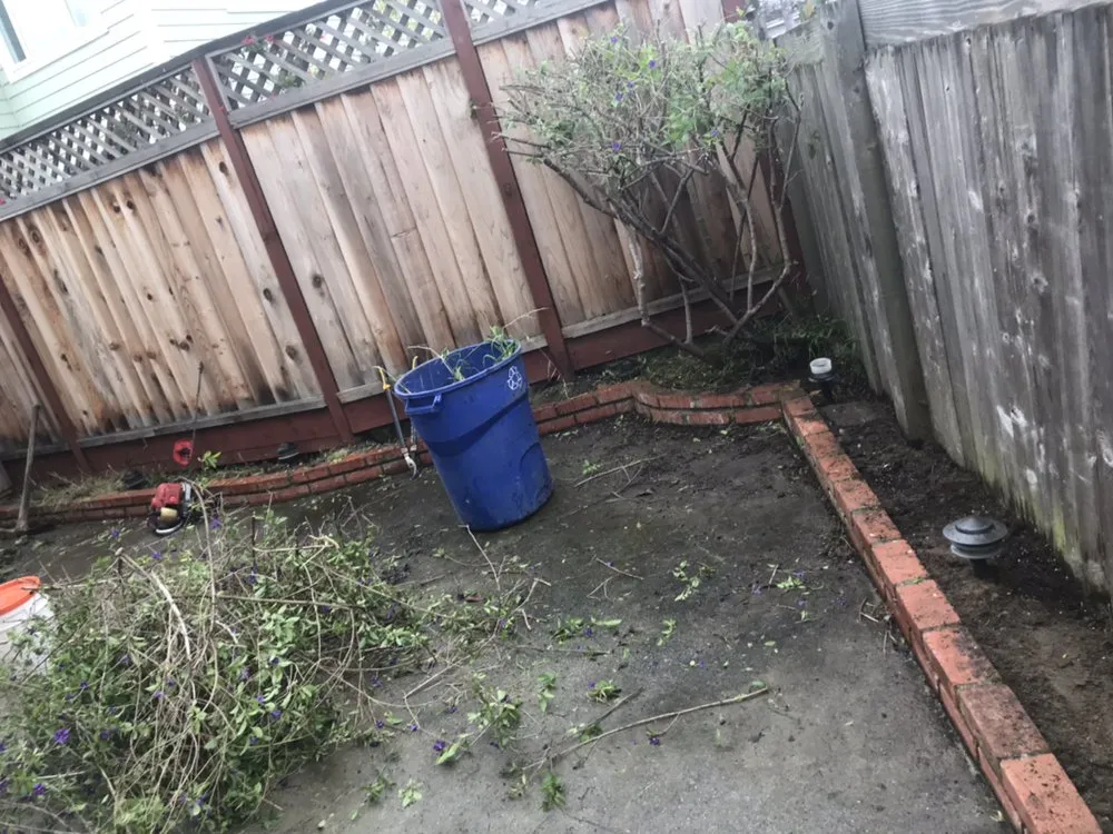 Reliable yard maintenance in Oakland, CA by Rios Landscaping Services