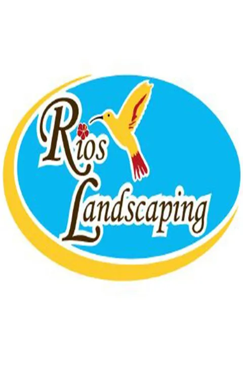 Expert lawn care service in Westfield, IN by Rios Landscaping