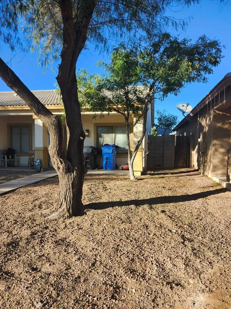 Custom landscape design in Glendale, AZ - Rios Lawn & Tree Care