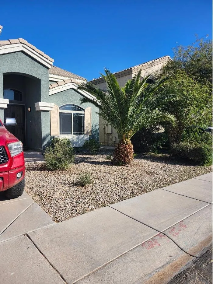 Trusted garden landscaping for outdoor upgrades in Glendale, AZ by Rios Lawn & Tree Care