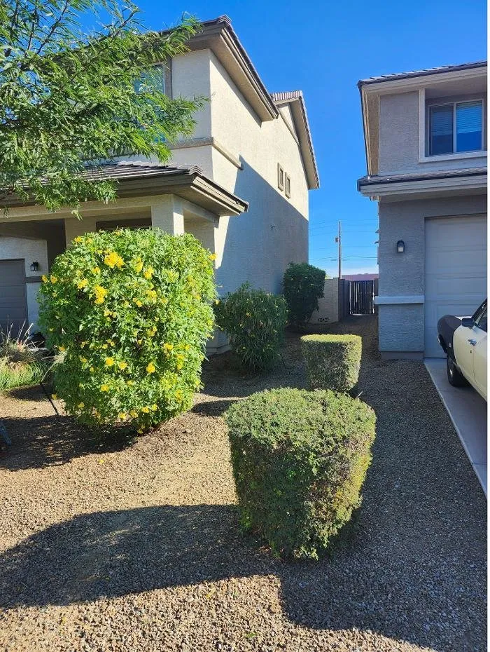 Trusted landscape design in Glendale, AZ by Rios Lawn & Tree Care