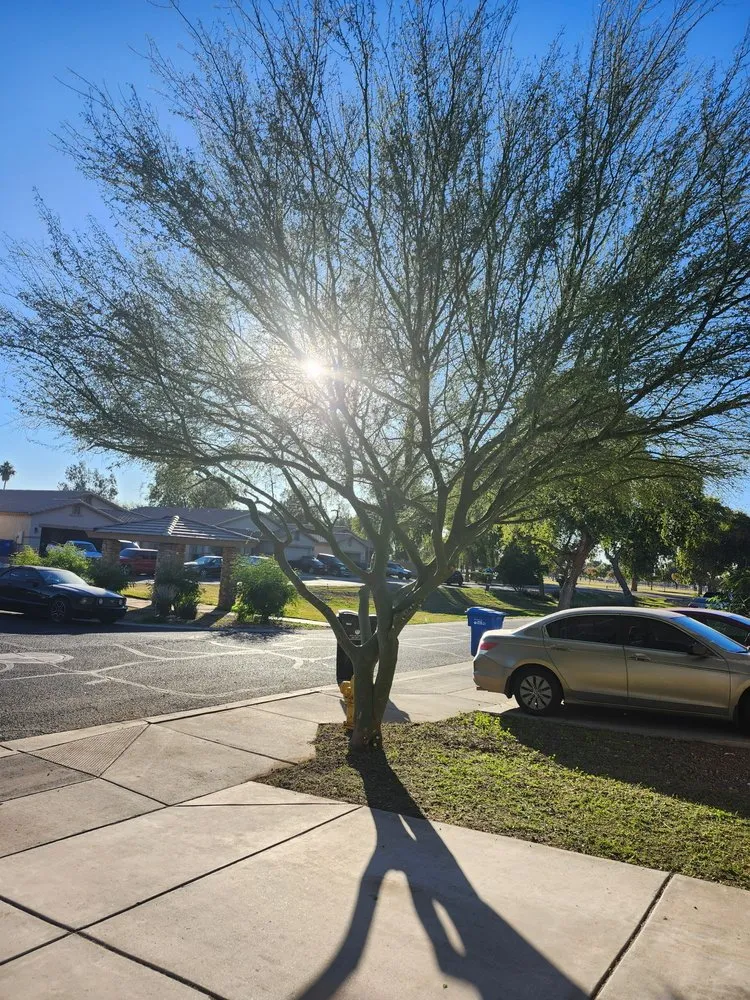 Professional lawn mowing service with custom design across Glendale, AZ - Rios Lawn & Tree Care