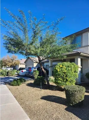 Rios Lawn & Tree Care Logo