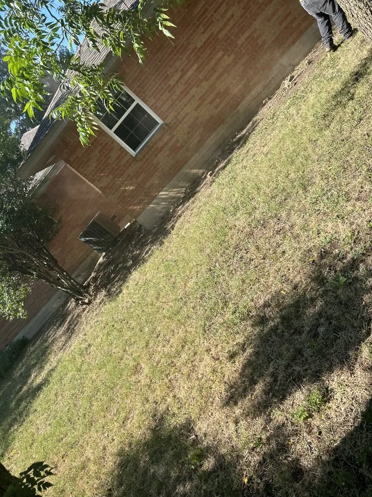 Reliable lawn mowing service with custom design across Dallas, TX - Rios Lawn Care