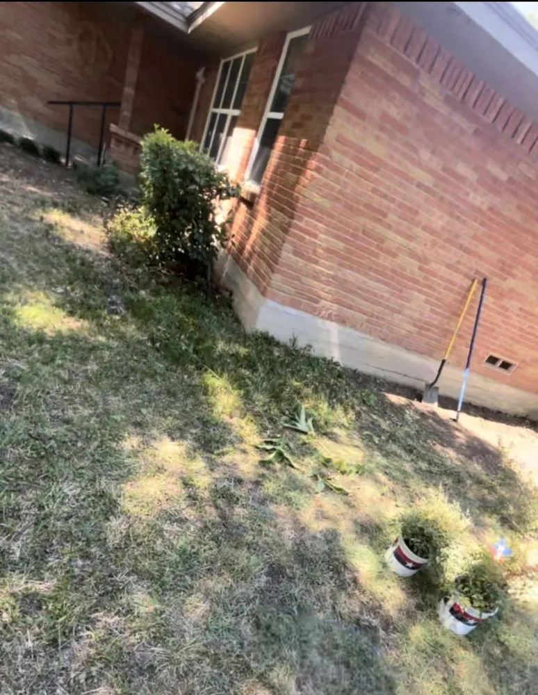 Top-rated yard cleanup service experts serving Dallas, TX - Rios Lawn Care