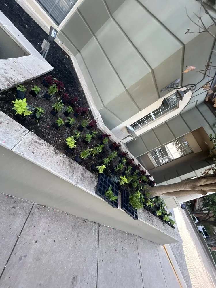 Professional landscape design in Dallas, TX - Rios Lawn Care