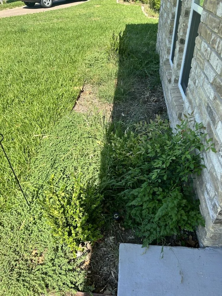 Professional residential landscaping for beautiful yards in Dallas, TX by Rios Lawn Care