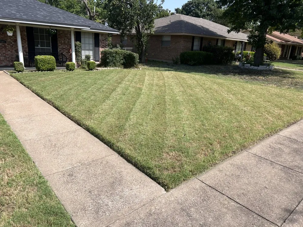 Affordable yard maintenance with custom design in Dallas, TX by Rios Lawn Care
