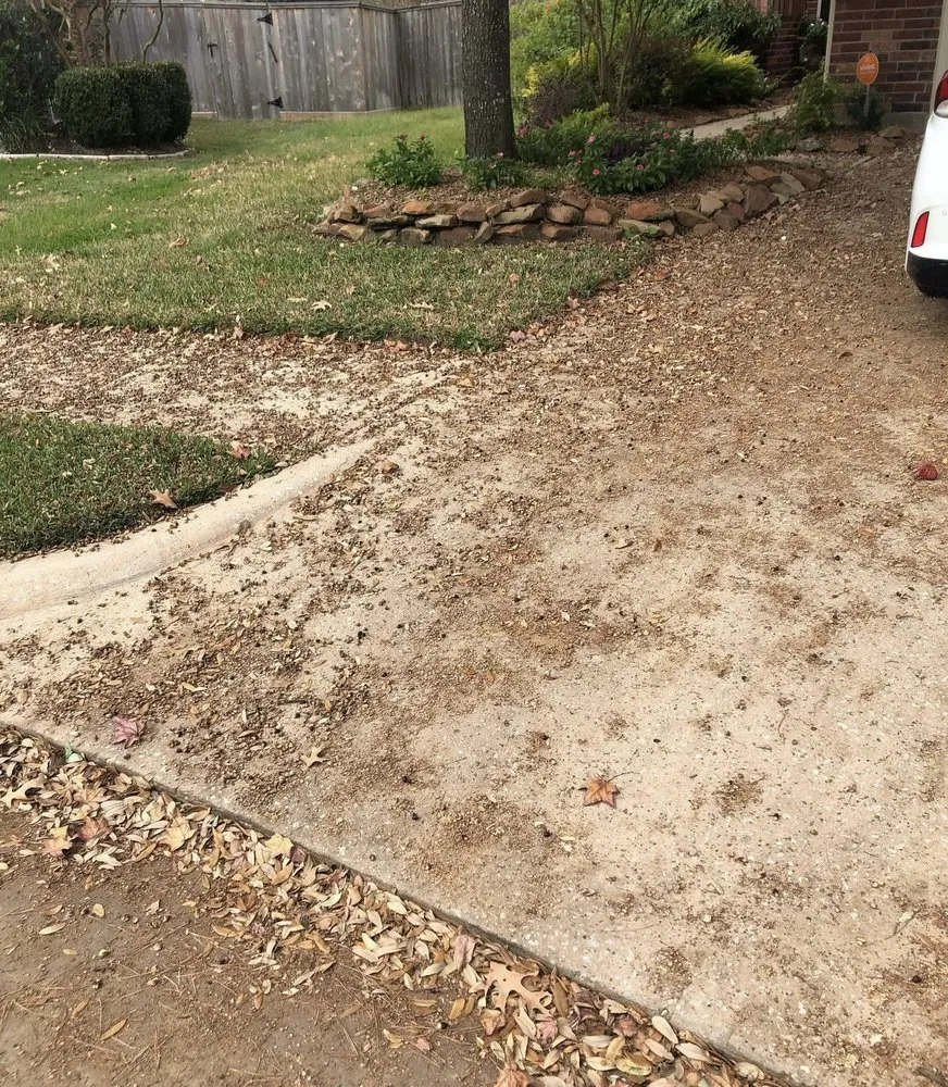 Top-rated lawn care service for year-round maintenance across Dallas, TX - Rios Lawn Care