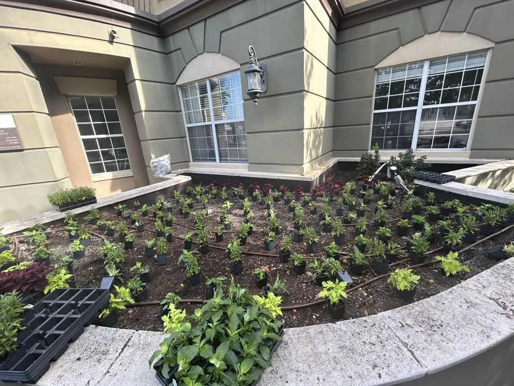 Expert landscaping services for year-round maintenance across Dallas, TX - Rios Lawn Care