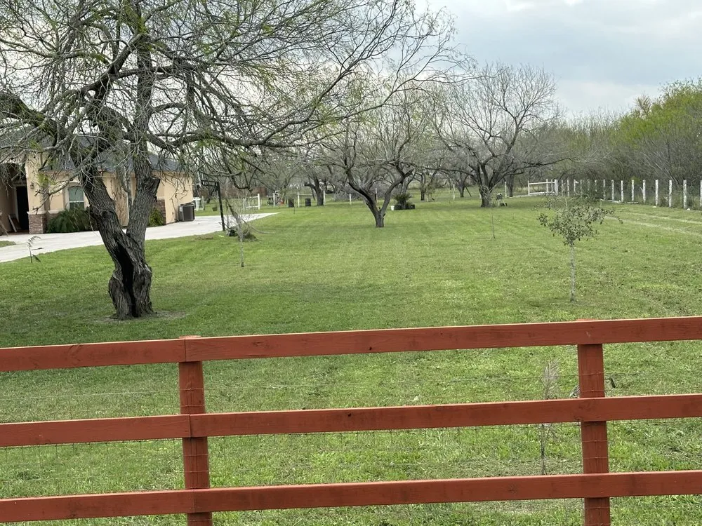 Reliable yard maintenance in Harlingen, TX by Rios Lawn Care