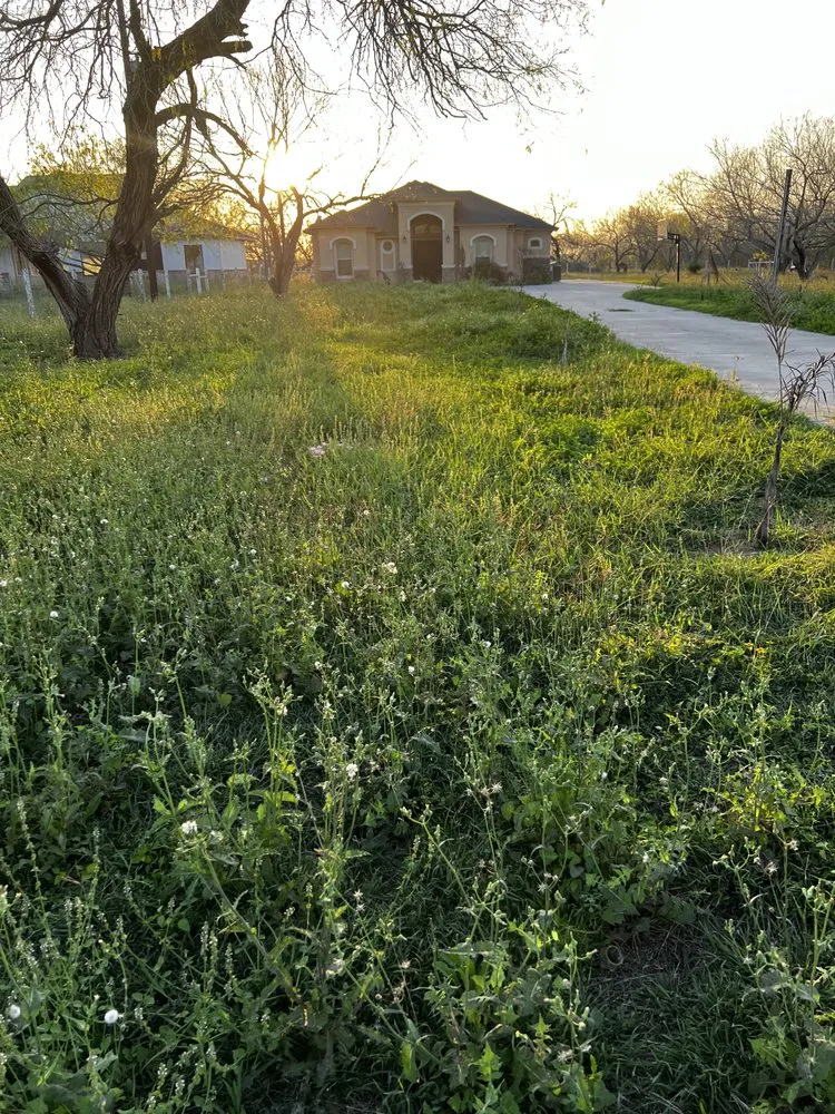 Reliable lawn care service in Harlingen, TX - Rios Lawn Care