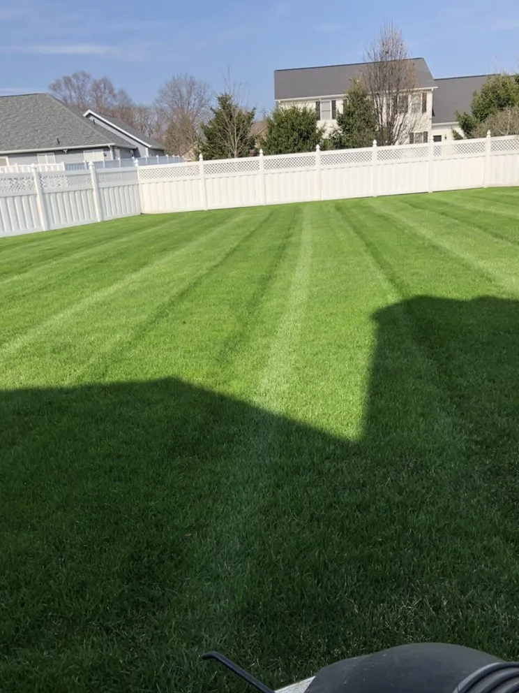 Expert yard cleanup service in Niles, MI by Rios Lawn Care