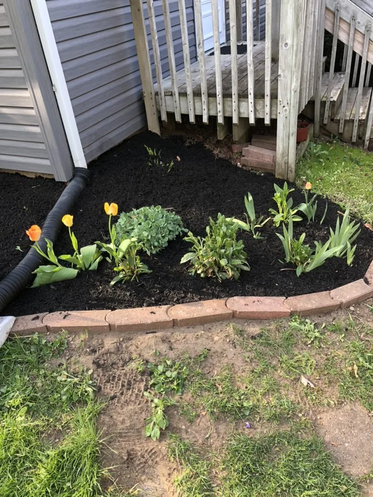 Top-rated landscaping services experts serving Niles, MI - Rios Lawn Care