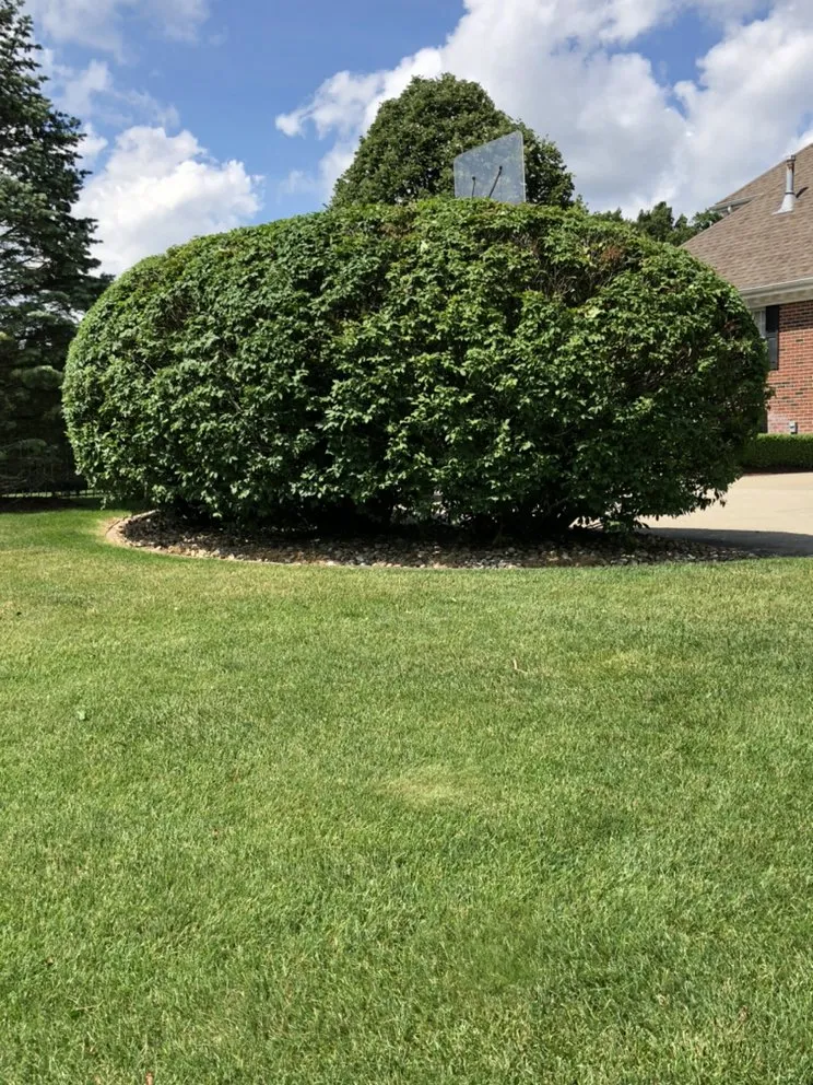 Trusted landscape installation for residential properties across Niles, MI - Rios Lawn Care