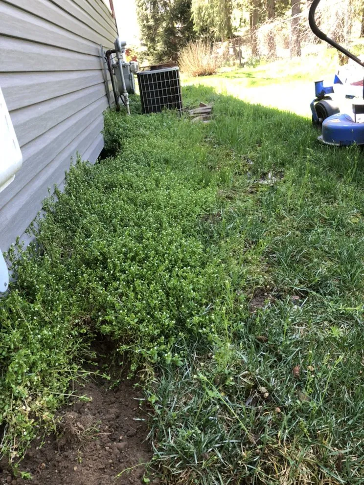 Top-rated landscape installation with custom design in Niles, MI by Rios Lawn Care