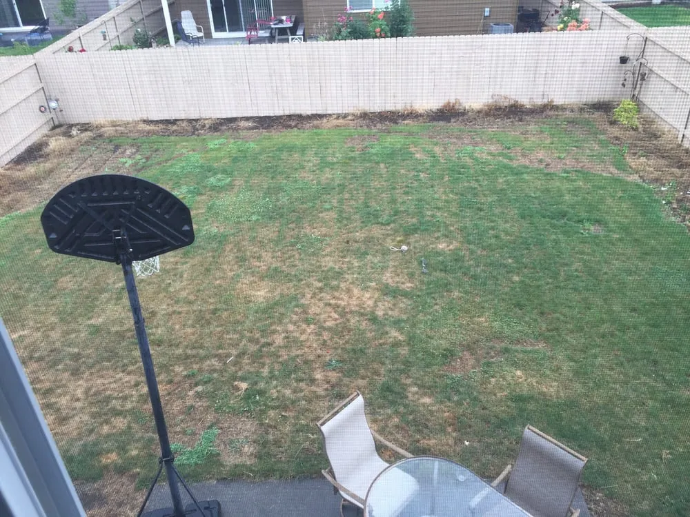 Custom residential landscaping for residential properties across Portland, OR - Rio's Lawn Care