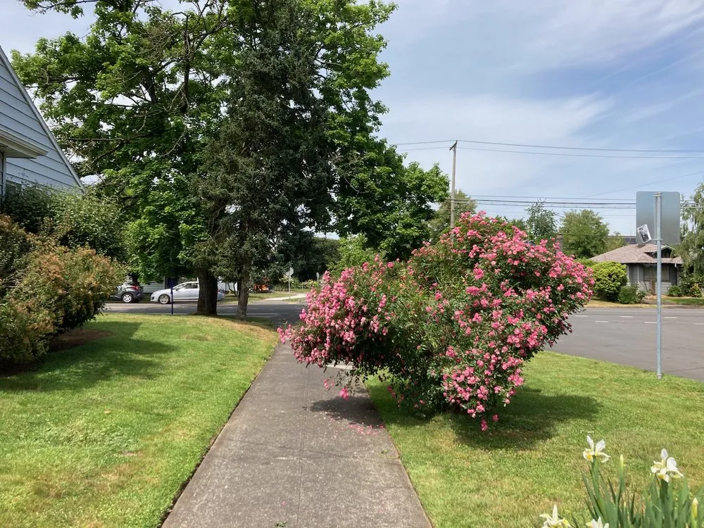 Custom lawn care service for outdoor upgrades in Portland, OR by Rio's Lawn Care