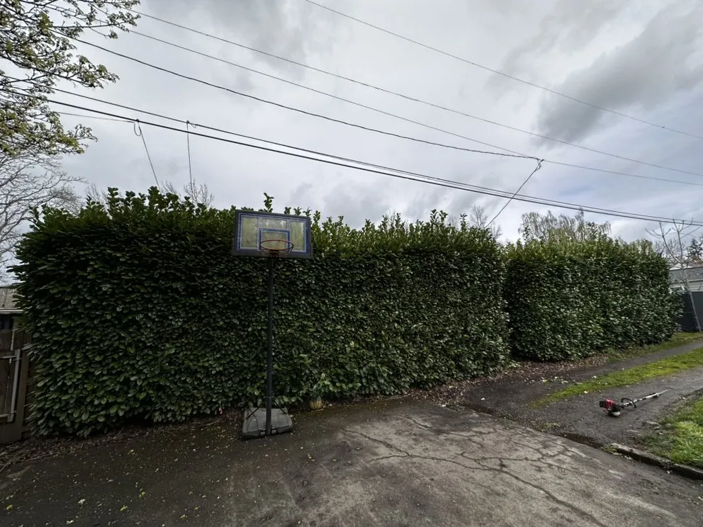 Reliable landscape design in Keizer, OR by Rios Lawn Maintenance