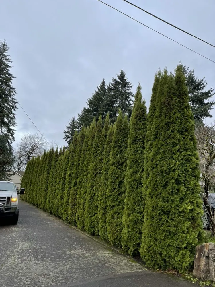 Trusted garden landscaping in Keizer, OR by Rios Lawn Maintenance