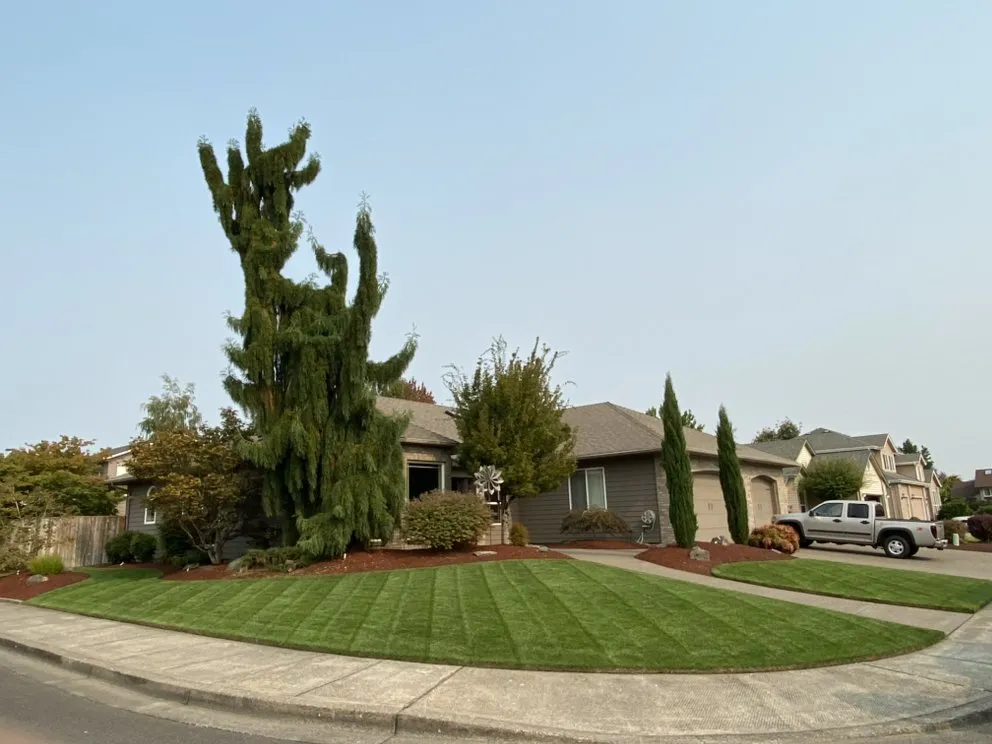 Affordable lawn care service experts serving Keizer, OR - Rios Lawn Maintenance
