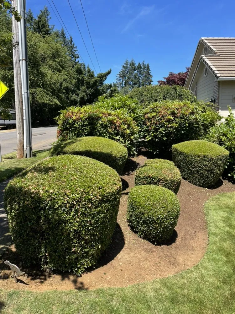 Local outdoor landscaping experts serving Keizer, OR - Rios Lawn Maintenance