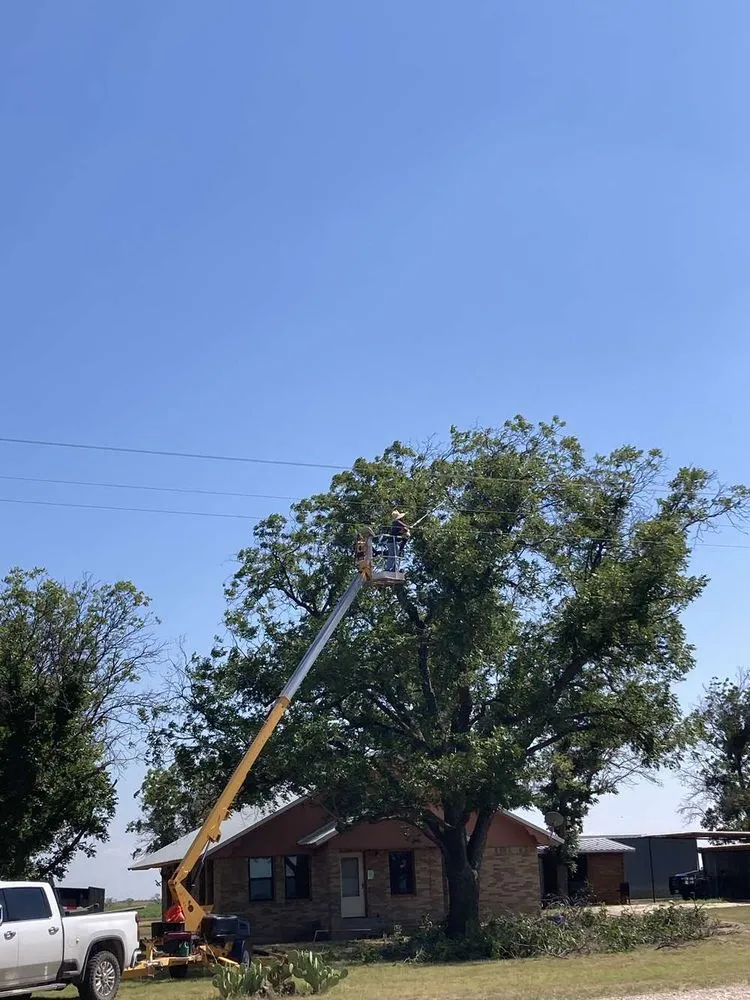 Trusted outdoor landscaping for outdoor upgrades across Winters, TX - Rios Mow-Town