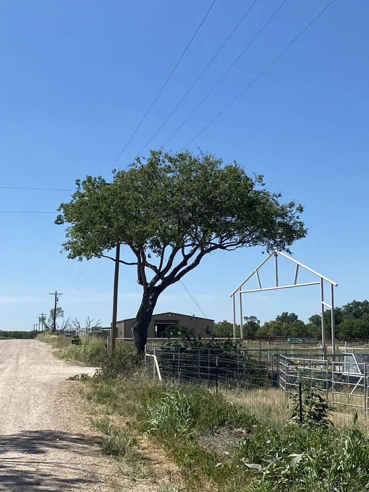 Expert landscape design for homes in Winters, TX by Rios Mow-Town