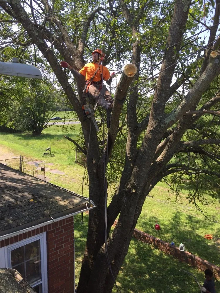 Affordable yard maintenance experts serving Woodbridge, VA - Rios Osorio's Services