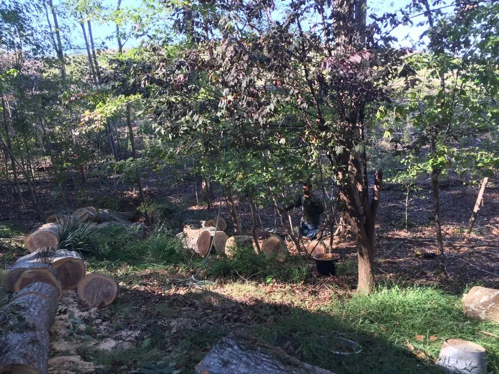 Trusted residential landscaping experts serving Woodbridge, VA - Rios Osorio's Services