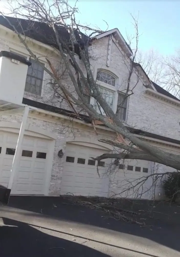 Top-rated landscape design experts serving Woodbridge, VA - Rios Osorio's Services